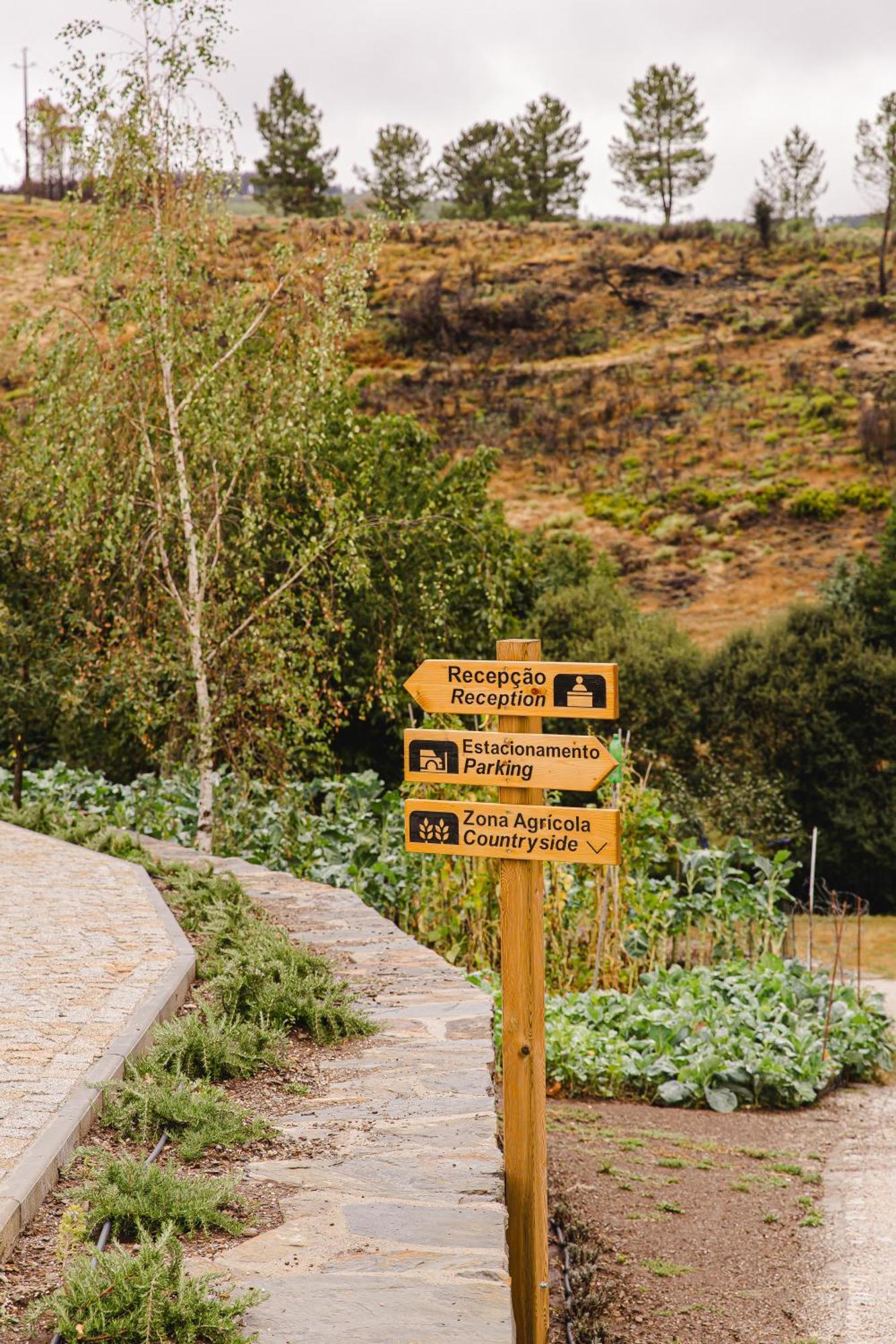 Terrasense Mountain Charm Retreat & Farm Διαμέρισμα Videmonte Εξωτερικό φωτογραφία
