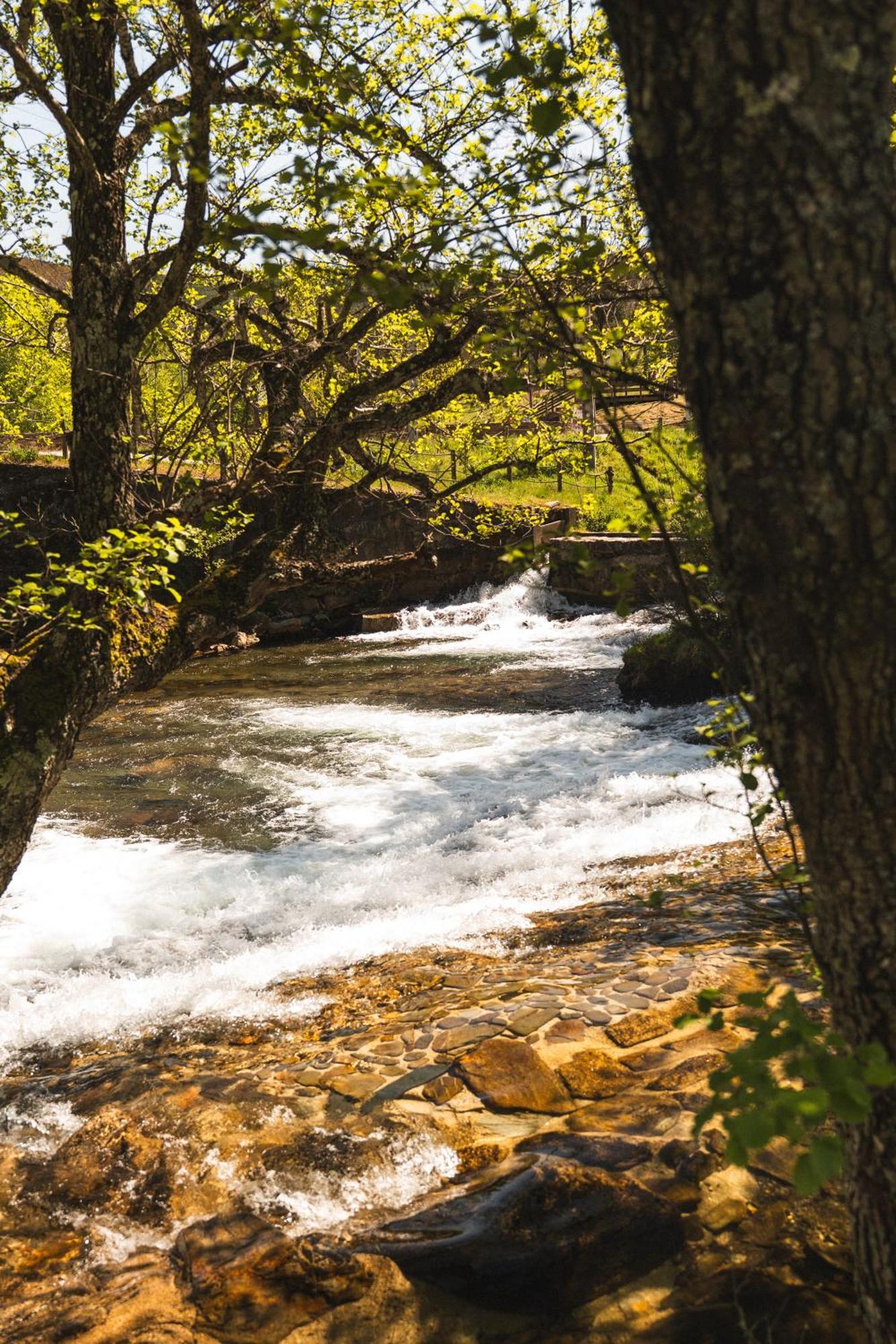 Terrasense Mountain Charm Retreat & Farm Διαμέρισμα Videmonte Εξωτερικό φωτογραφία